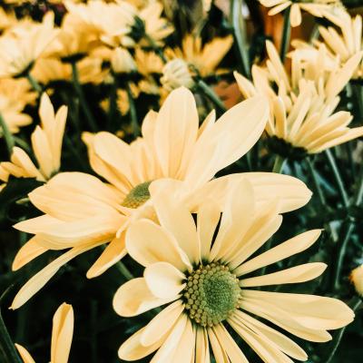 Ashlee Brown Zggyj4btmag Unsplash